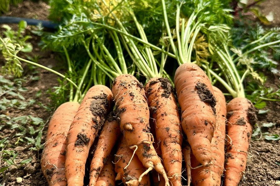Produits locaux à l&rsquo;Auberge du Kochersberg